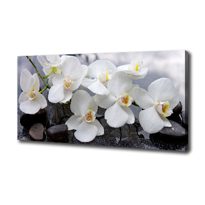 Canvas foto Orchidee