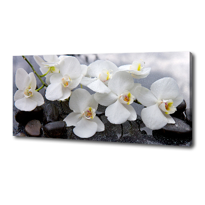 Canvas foto Orchidee