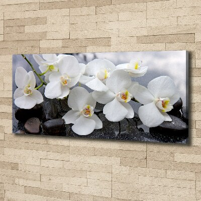 Canvas foto Orchidee