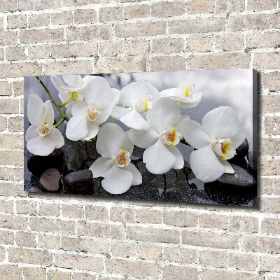 Canvas foto Orchidee