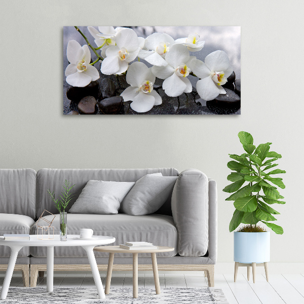 Canvas foto Orchidee