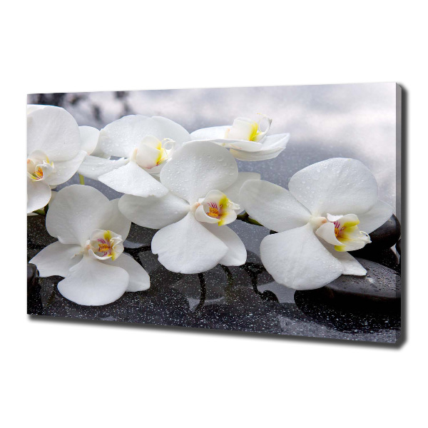 Canvas foto Orchidee