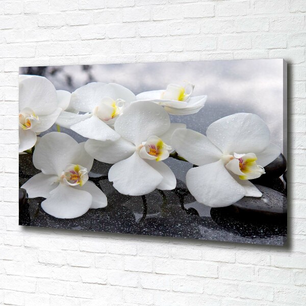 Canvas foto Orchidee