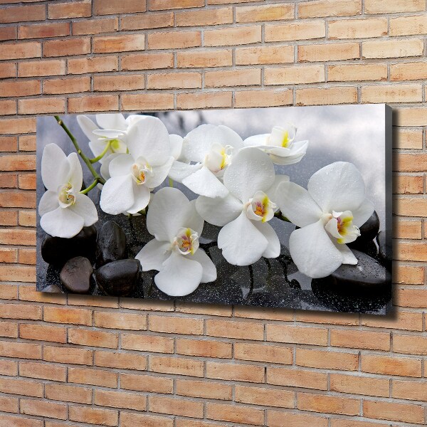 Canvas foto Orchidee