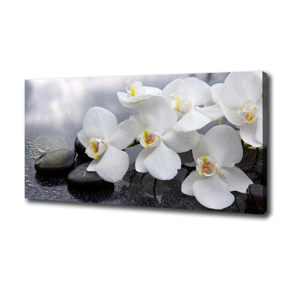 Schilderij op canvas Orchidee