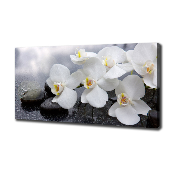 Schilderij op canvas Orchidee