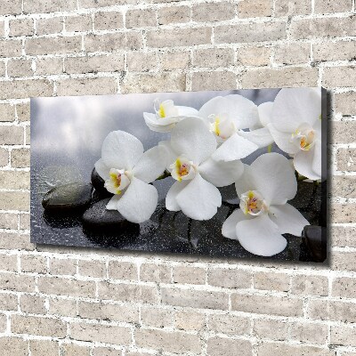 Schilderij op canvas Orchidee