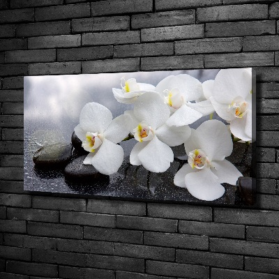 Schilderij op canvas Orchidee