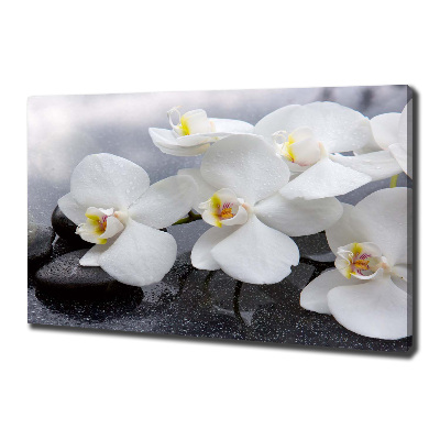 Schilderij op canvas Orchidee