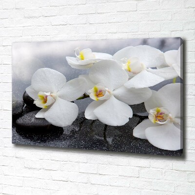 Schilderij op canvas Orchidee