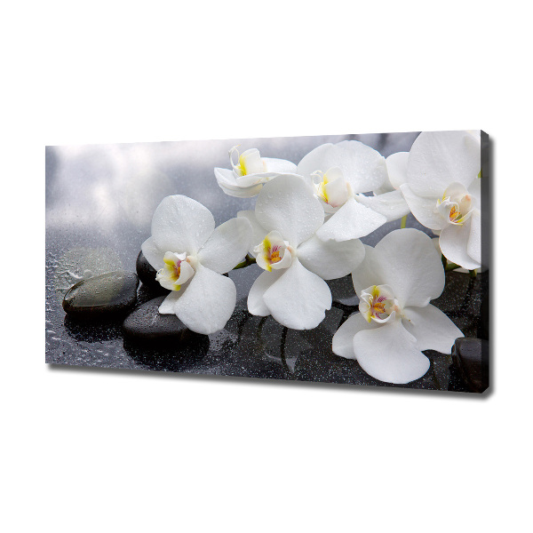 Schilderij op canvas Orchidee