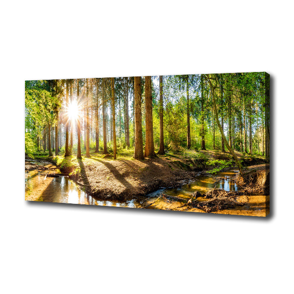 Canvas foto Panorama van het bos