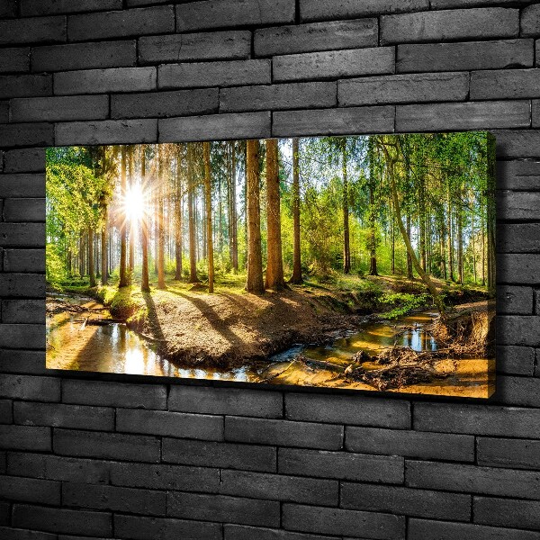 Canvas foto Panorama van het bos