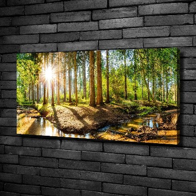 Canvas foto Panorama van het bos