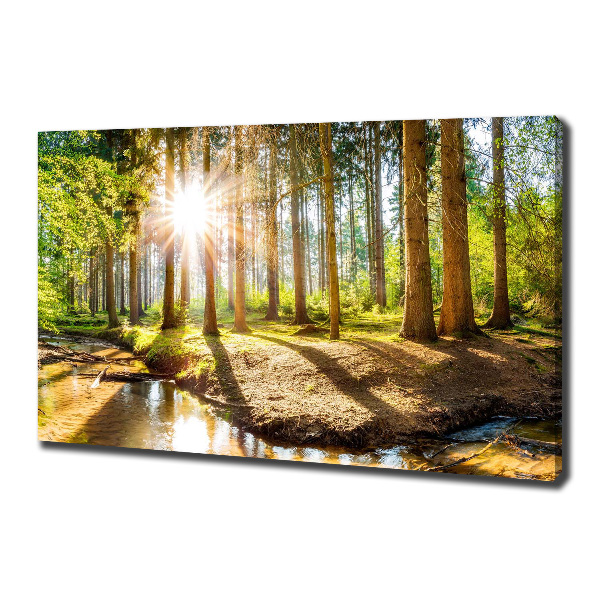 Canvas foto Panorama van het bos
