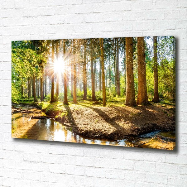Canvas foto Panorama van het bos