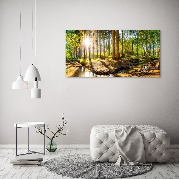 Canvas foto Panorama van het bos