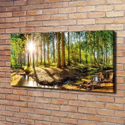 Canvas foto Panorama van het bos