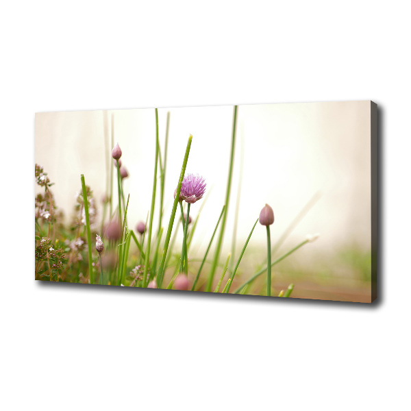 Foto canvas Bieslook