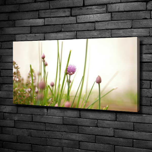 Foto canvas Bieslook