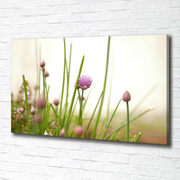 Foto canvas Bieslook