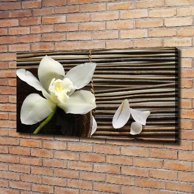 Foto op canvas Orchidee
