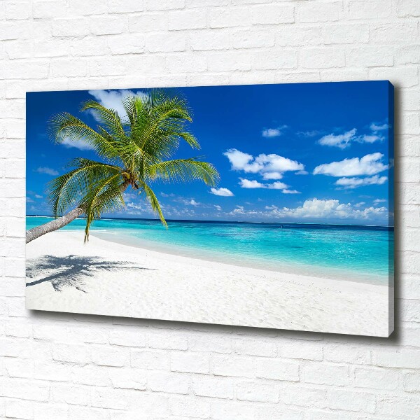 Canvas foto Tropisch strand