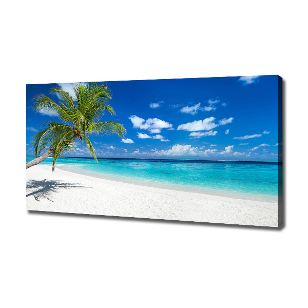 Canvas foto Tropisch strand