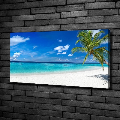 Foto op canvas Tropisch strand