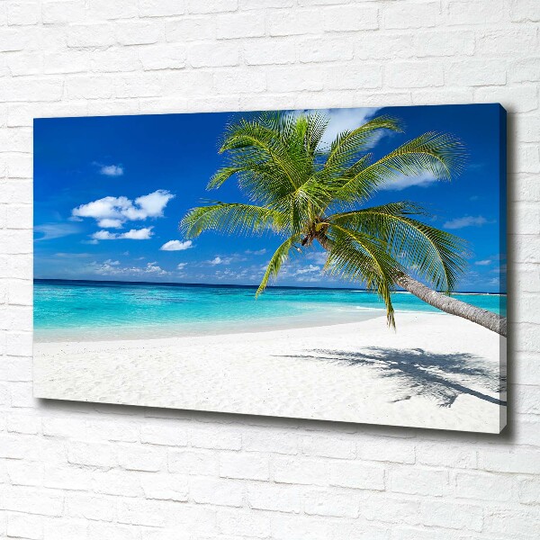 Foto op canvas Tropisch strand