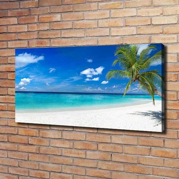 Foto op canvas Tropisch strand