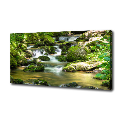 Canvas schilderij Waterval