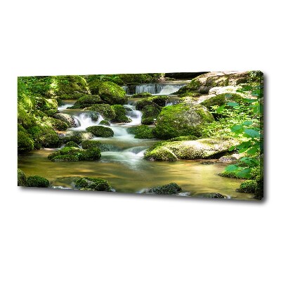 Canvas schilderij Waterval
