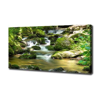 Canvas schilderij Waterval