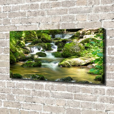 Canvas schilderij Waterval