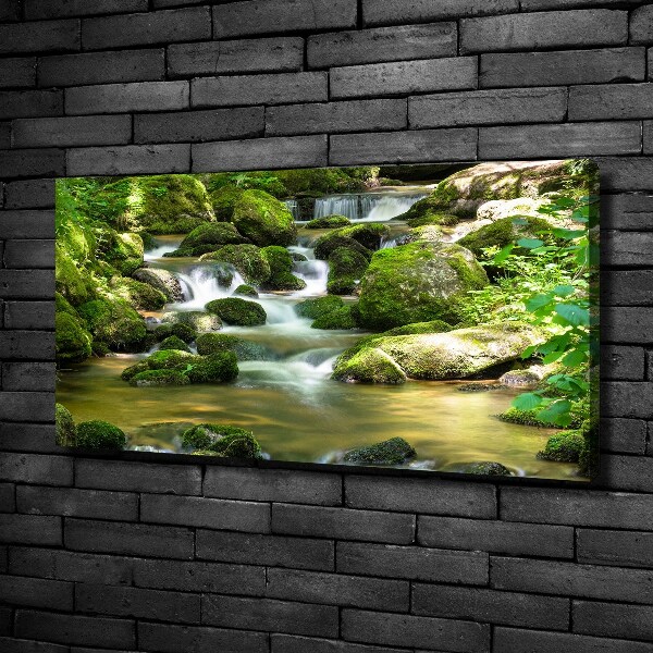 Canvas schilderij Waterval