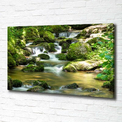 Canvas schilderij Waterval