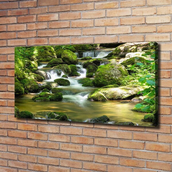 Canvas schilderij Waterval