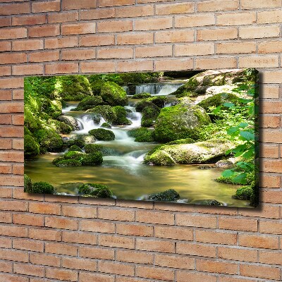 Canvas schilderij Waterval