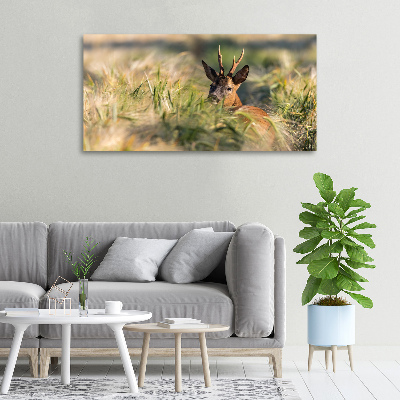 Foto canvas Herten in het veld