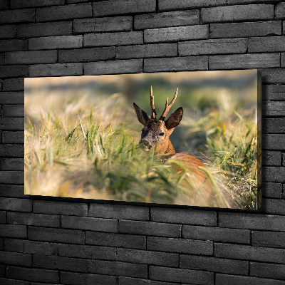 Foto canvas Herten in het veld