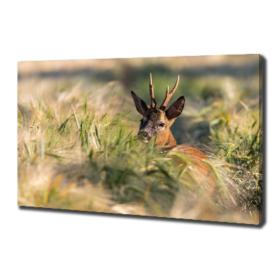 Foto canvas Herten in het veld