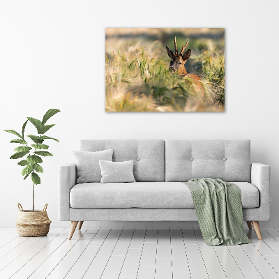 Foto canvas Herten in het veld
