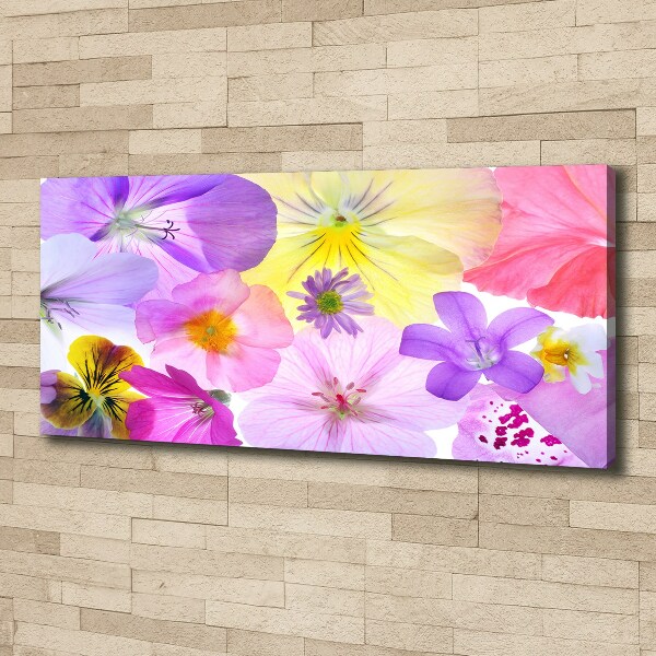 Foto canvas Viooltjes