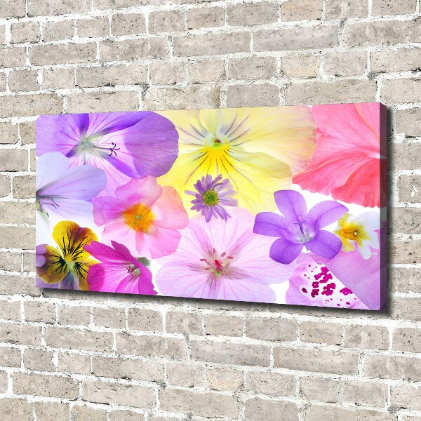 Foto canvas Viooltjes