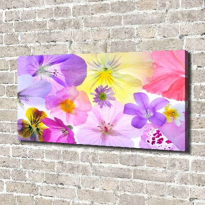 Foto canvas Viooltjes