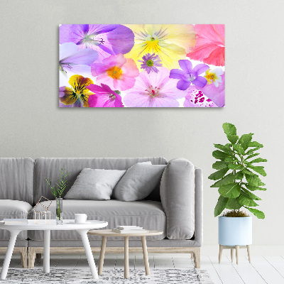 Foto canvas Viooltjes