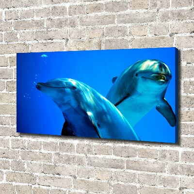Foto obraz canvas Dwa delfiny