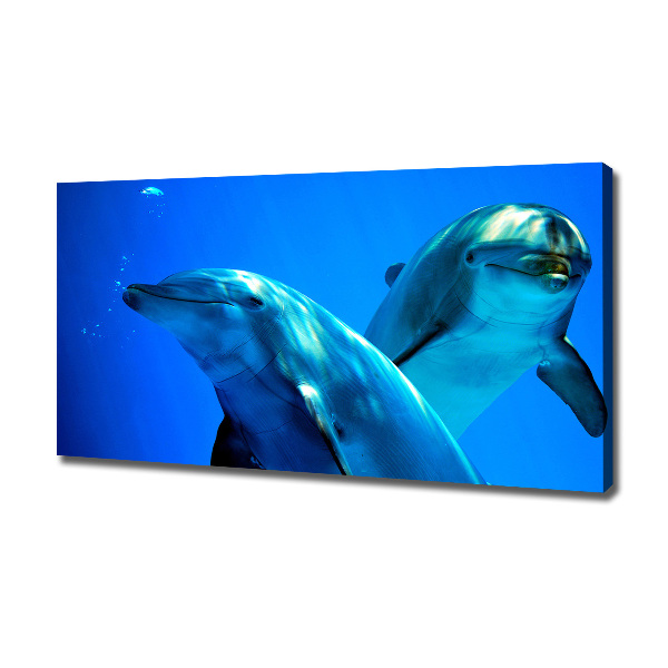 Canvas foto Twee dolfijnen
