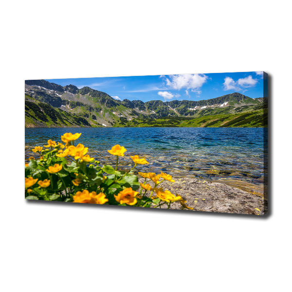 Foto canvas Meer in de bergen
